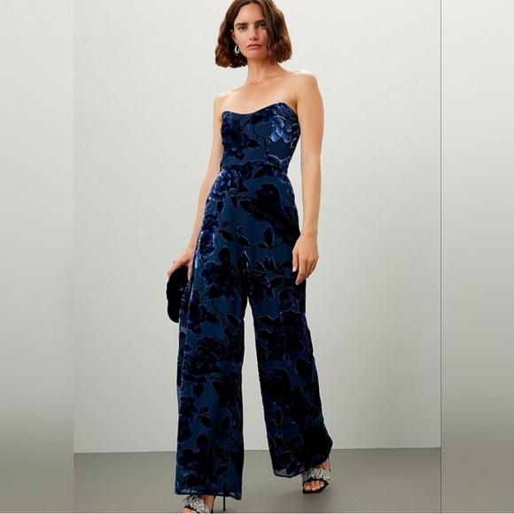 ANTHROPOLOGIE Hutch Velvet Burnout Sonnie Jumpsuit Floral Boho Wide Leg Sz 4 EUC - Picture 1 of 16